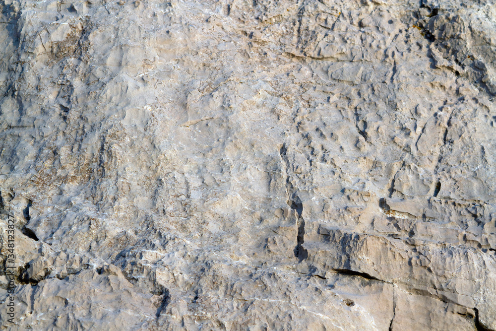 Fototapeta premium White sea stone texture background