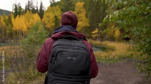 Wallpaper Mural Youthful Forest Traveler in Picturesque Woods Walking and Watching Greenery Back Shot. Fascinated Contemporary Bearded Person in Casual Clothes and Backpack Looking at Swamp Panoramic Closeup Concept Torontodigital.ca