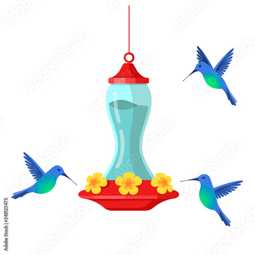 Hummingbird bird feeder. Cartoon flat illustration isolated on white background. © Veronika