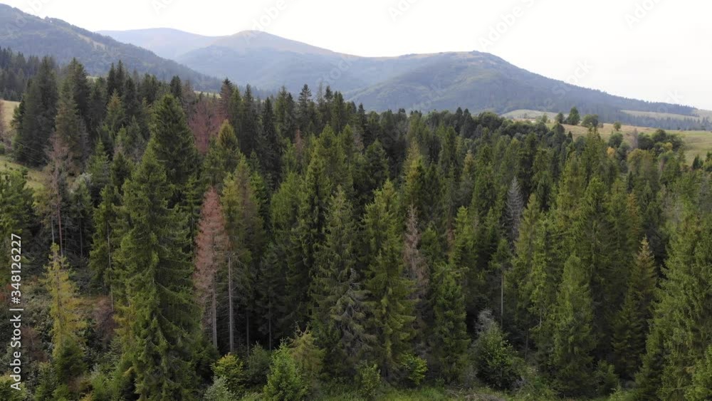 Aerial top drone view of spruce and pine forest in beautiful mountains. No people, travel concept. Enjoying nature Aerial top drone view of spruce and pine forest in beautiful mountains. No people, travel concept. Enjoying nature