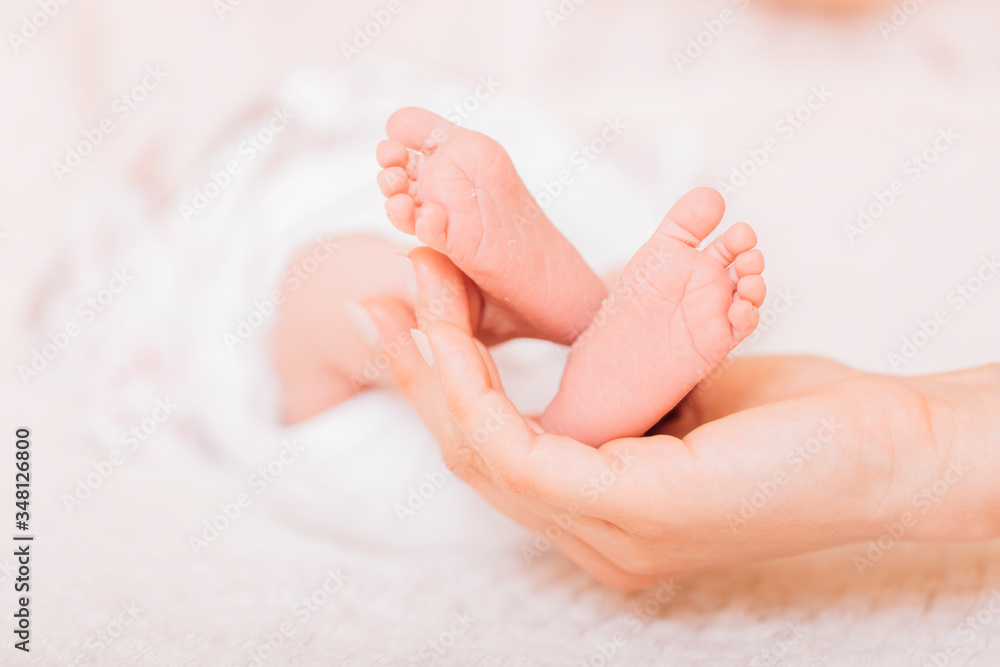 Baby feet in mother hands. Newborn baby's feet on female shaped hands closeup. Mom and her child. New family concept. Beautiful conceptual image of Maternity. Baby feet in mother hands. Newborn baby's feet on female shaped hands closeup. Mom and her child. New family concept. Beautiful conceptual image of Maternity.