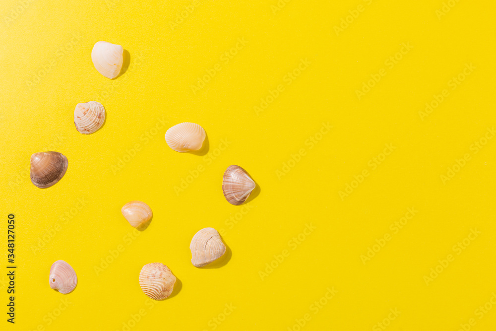 Beach accessories on a yellow background - snails Summer is coming concept. Holiday concept by the sea. holiday accessories map on yellow Beach accessories on a yellow background - snails Summer is coming concept. Holiday concept by the sea. holiday accessories map on yellow