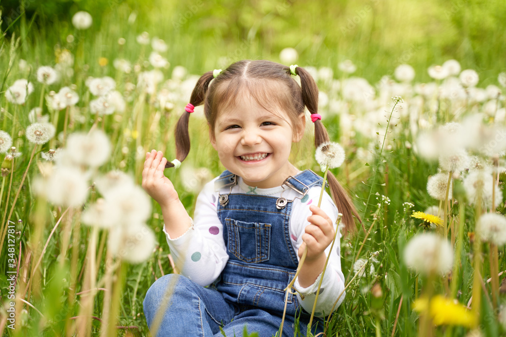 a beautiful cheerful funny girl with two tails sits on a field with dandelions and laughs a beautiful cheerful funny girl with two tails sits on a field with dandelions and laughs