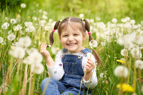 a beautiful cheerful funny girl with two tails sits on a field with dandelions and laughs