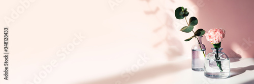 Holiday web banner. Summer and spring picture with sprig of eucalyptus and a one rose in a vases.