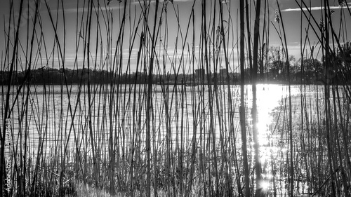 reflection of the sun in the water