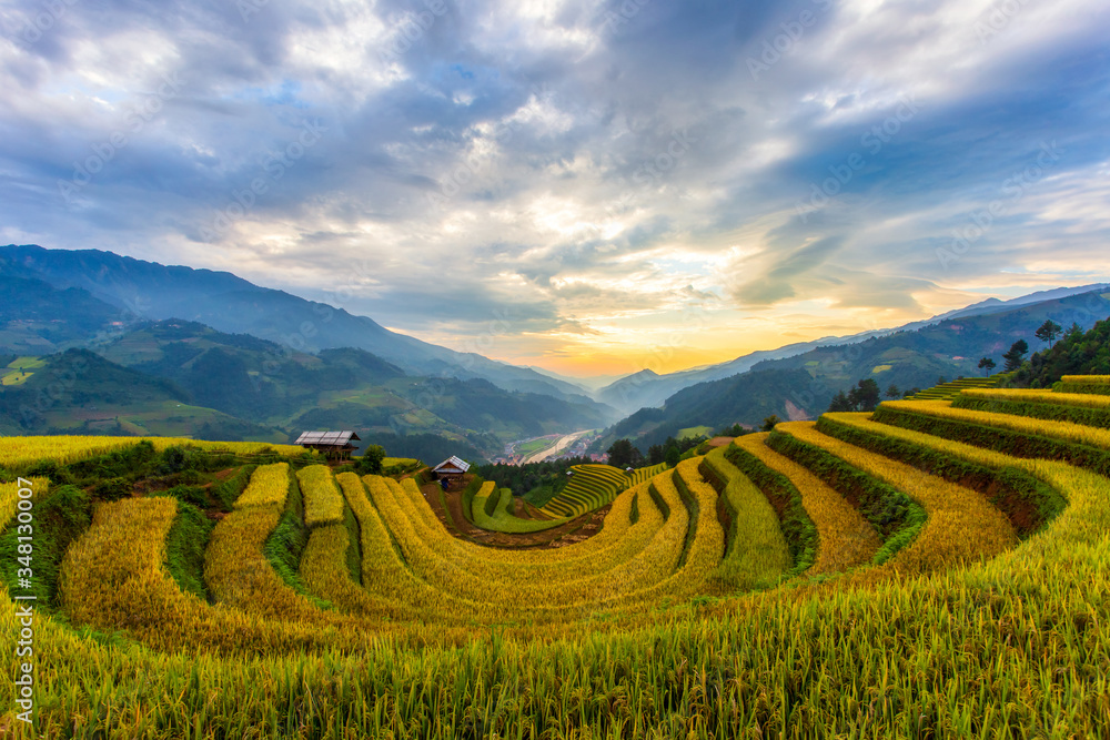 Terraced rice paddy field landscape of Mu Cang Chai