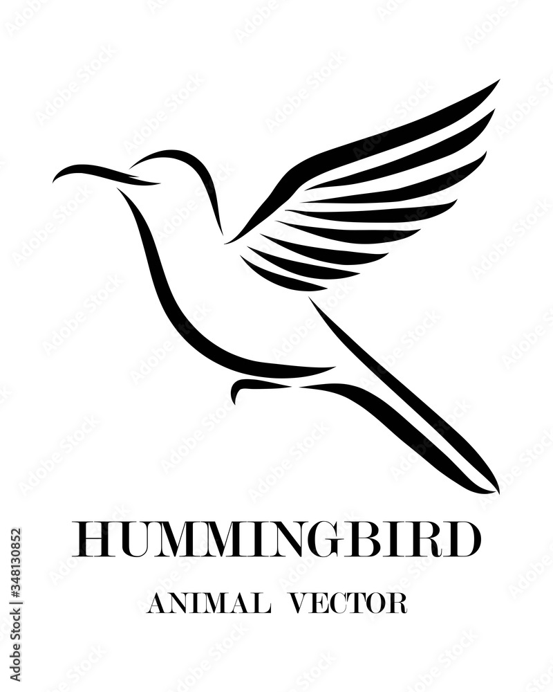 Obraz premium Black line art Vector illustration on a white background of flying hummingbird. Suitable for making logos