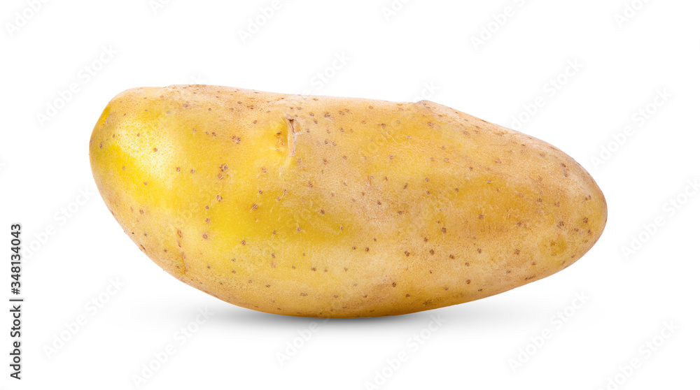 potato isolated on white background potato isolated on white background