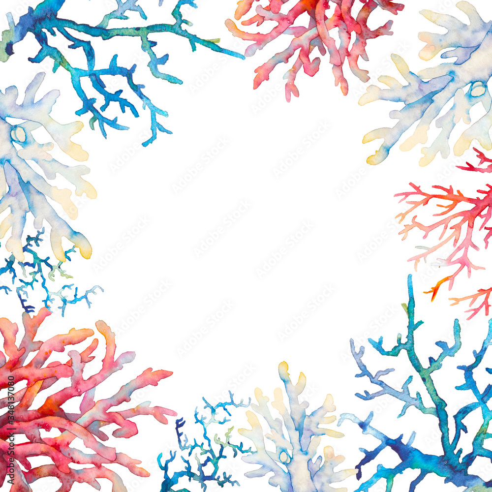 custom made wallpaper toronto digitalWatercolor coral frame illustration. Hand drawn isolated card design with various underwater branches on white background.