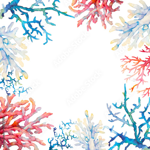 Wallpaper Mural Watercolor coral frame illustration. Hand drawn isolated card design with various underwater branches on white background. Torontodigital.ca