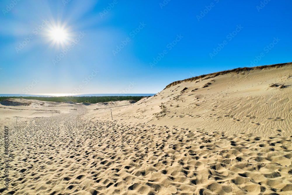 Beautiful calm view of nordic sand dunes and protective fences at Curonian spit, Nida, Klaipeda, Lithuania. Buried wood, desert and sand, blue sky Beautiful calm view of nordic sand dunes and protective fences at Curonian spit, Nida, Klaipeda, Lithuania. Buried wood, desert and sand, blue sky