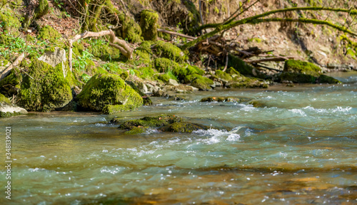 Fototapeta Naklejka Na Ścianę i Meble -  small river at spring time