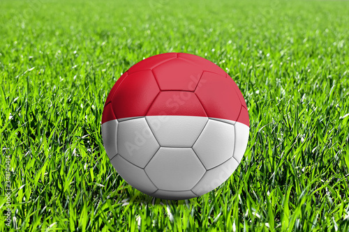 Monaco Flag on Soccer Ball