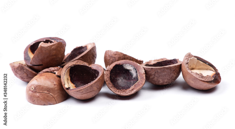 Heap of empty macadamia nut shell Heap of empty macadamia nut shell