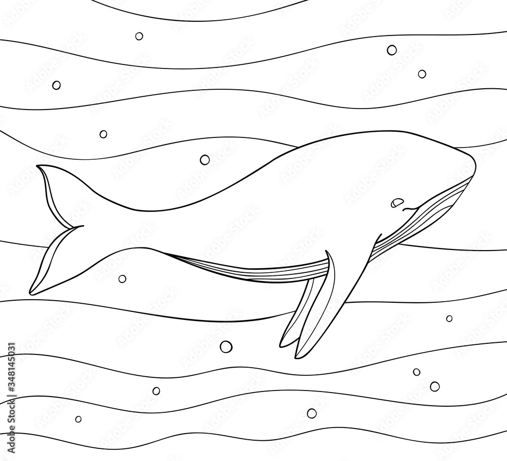 Naklejka premium Simple cute whale in the ocean on white isolated background. Underwater cartoon illustration. For coloring book pages.