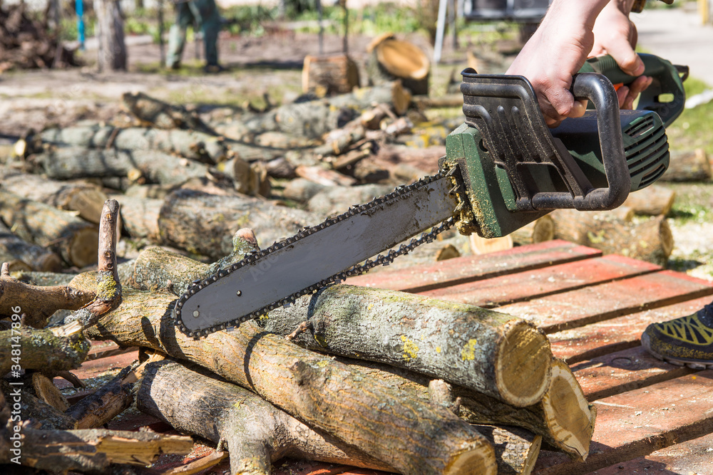 Man sawing a tree with a chainsaw. Removes forest plantations from old trees, prepares firewood.