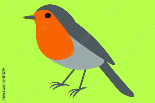Robin vector illustration of a bird 