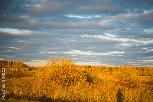 Autumn landscape in a field with yellowed grass in the evening, Russia, Ural, september
