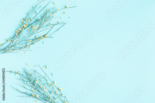 Flowers composition. Spring flowers on blue background. Flat lay, top view