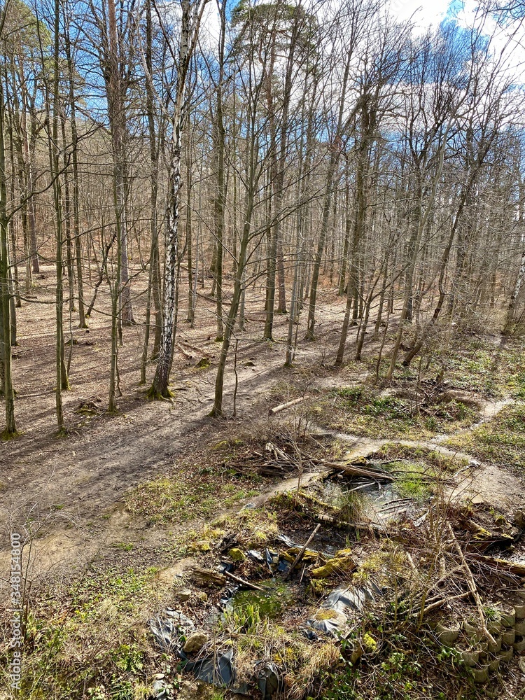 Wald (Deutschland) Stuttgart mit Bäumen, Tieren, einem Fluss und Blauem Himmel im Herbst bei Sonnenschein, Bäume ohne Blätter mit Baumkrone in der Umwelt Wald (Deutschland) Stuttgart mit Bäumen, Tieren, einem Fluss und Blauem Himmel im Herbst bei Sonnenschein, Bäume ohne Blätter mit Baumkrone in der Umwelt