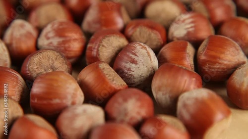 hazelnuts  rotating close-up