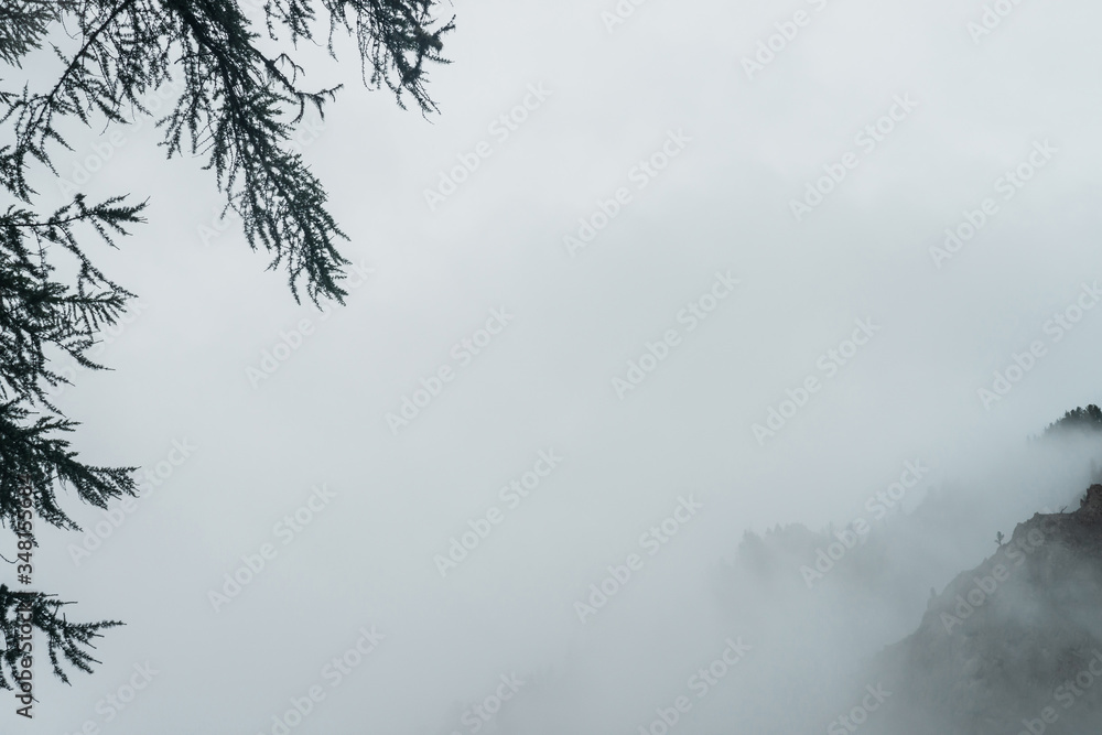 Ghostly alpine view through branches and low clouds to beautiful rockies. Dense fog among giant rocky mountains with trees. Atmospheric highland landscape. Big cliff in cloudy sky. Minimalist scenery. Ghostly alpine view through branches and low clouds to beautiful rockies. Dense fog among giant rocky mountains with trees. Atmospheric highland landscape. Big cliff in cloudy sky. Minimalist scenery.