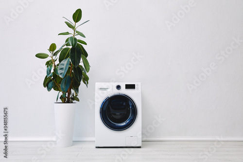 plant near modern washing machine in bathroom