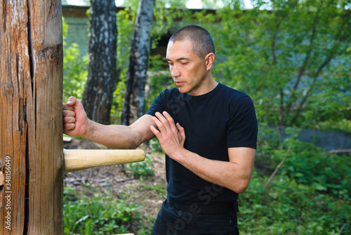 Wing Chun-martial art, martial arts, fighter, training, Wooden Dummy