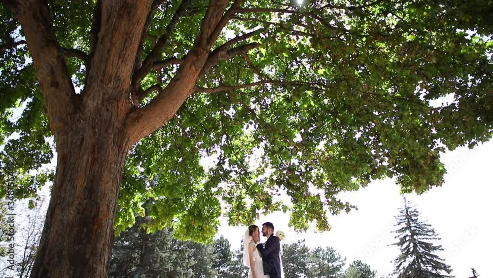 Loving couple on their wedding day at sunset. Loving couple on their wedding day at sunset.