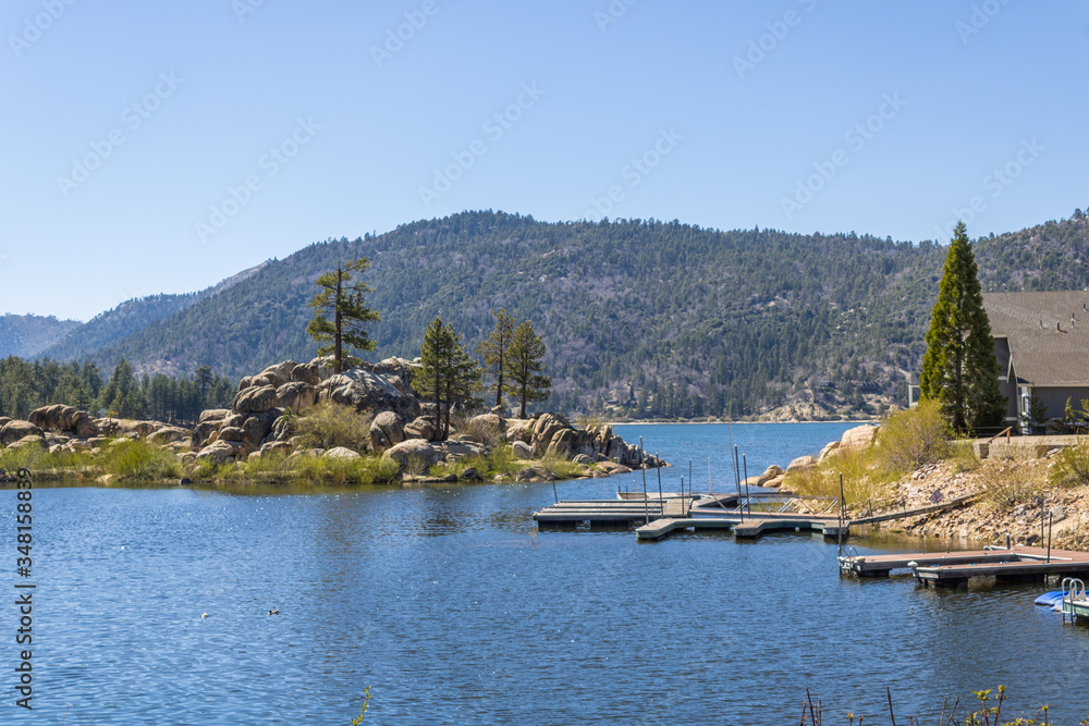 Fototapeta premium big bear in spring