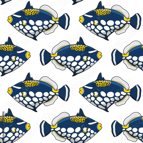 Seamless pattern with clown triggerfish fish. Vector tropical background on white.
