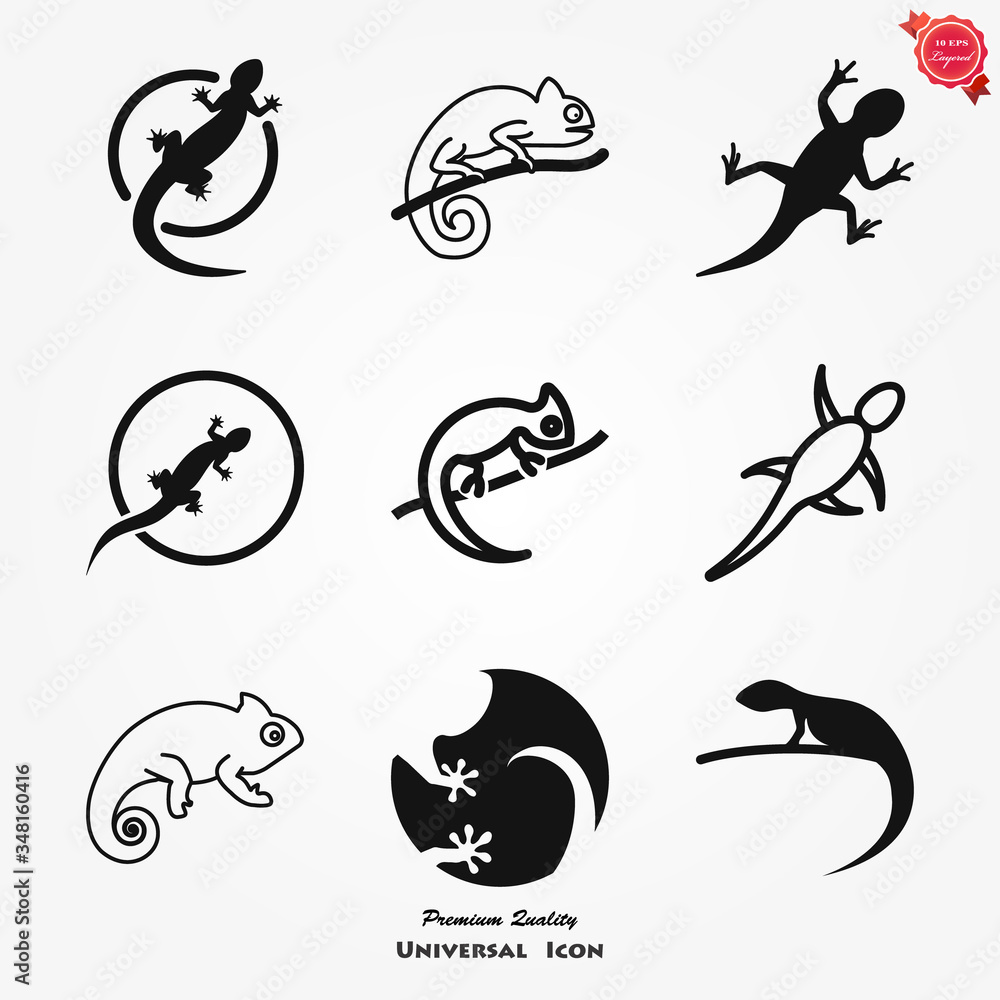 Naklejka premium Vector Lizard icon on white background, Vector gecko