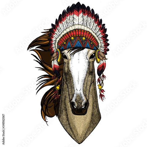 Horse, steed, courser. Portrait of wild animal. Indian traditional headdress.