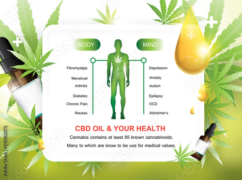 CBD oil and your health active benefits on your body and your mind infographic template background