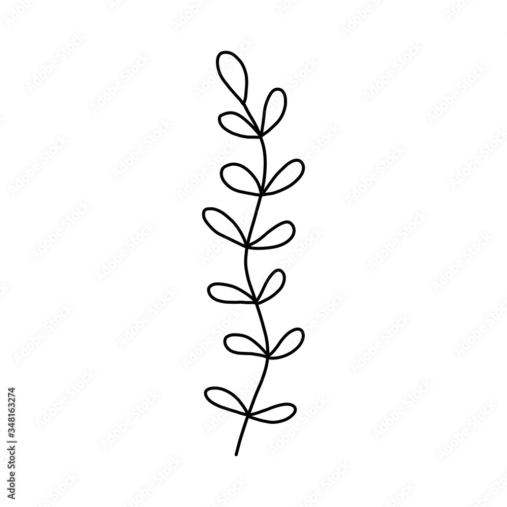 Serve with leaves. Botanical illustration. Black and white engraved ink art. Leaves of plants of a botanical garden, flower foliage. Isolated leaf illustration element. Vector design elements. Serve with leaves. Botanical illustration. Black and white engraved ink art. Leaves of plants of a botanical garden, flower foliage. Isolated leaf illustration element. Vector design elements.