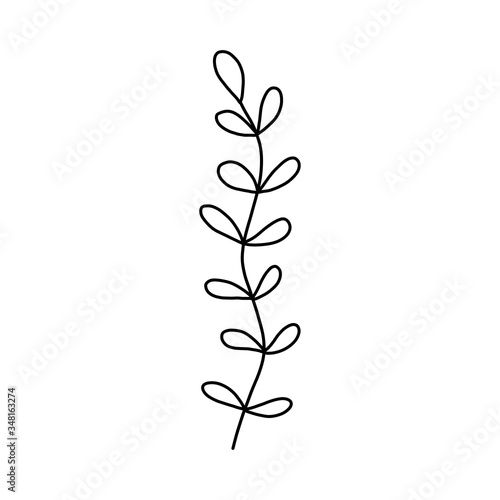  Serve with leaves. Botanical illustration. Black and white engraved ink art. Leaves of plants of a botanical garden  flower foliage. Isolated leaf illustration element. Vector design elements.