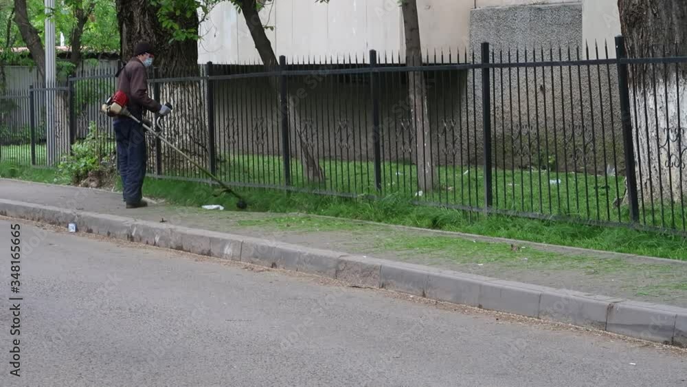 custom made wallpaper toronto digitallawn mowing lawn mower grass garden greenery