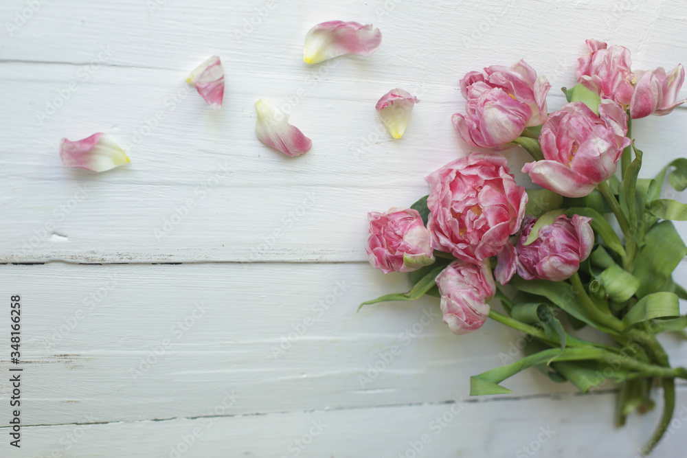 on a white background a bouquet of pink flowers
on a white background a bouquet of pink flowers