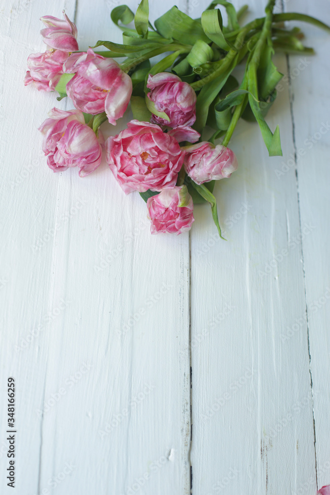 Fototapeta premium on a white background a bouquet of pink flowers