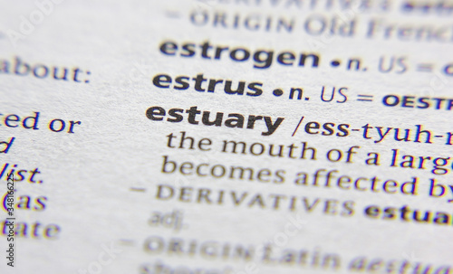 Esturary word or phrase in a dictionary.