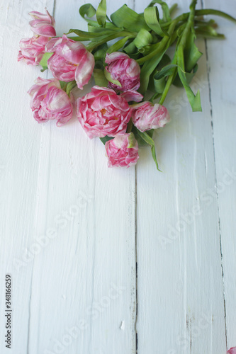 on a white background a bouquet of pink flowers 