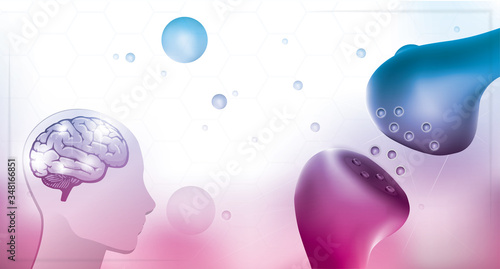 the endocannabinoid system health medical work in human body and brain backgrounds.