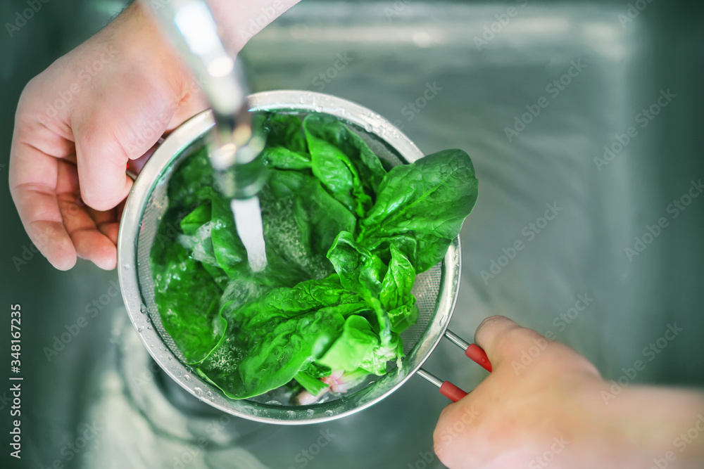 A man holds a colander with a red handle under the flow of water from the tap and washes fresh green spinach leaves in it. Household chores and cooking.