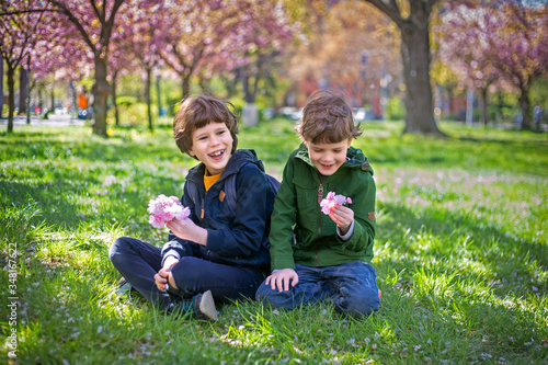 Canvas Print Happy sibling boys picking up cherry blossom in the spring park in Berlin
