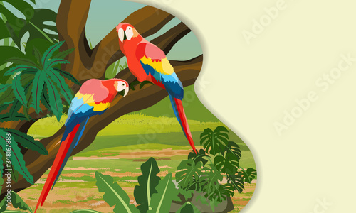 Landing page template with multi-level shadows. A pair of macaw parrot lovers sitting on a liana. Jungle A tropical forest. Rainforests of Amazonia. Realistic vector landscape