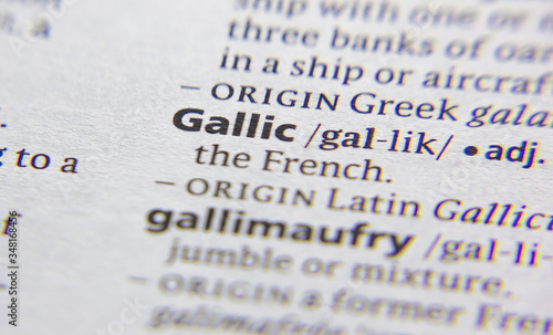 Gallic word or phrase in a dictionary.