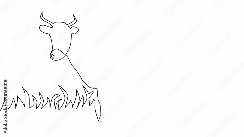 Cow in the meadow. Self-drawing a simple animation of one continuous drawing of one line Cow in the meadow. Self-drawing a simple animation of one continuous drawing of one line