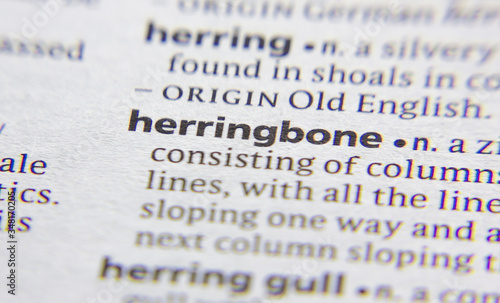 Herringbone word or phrase in a dictionary.