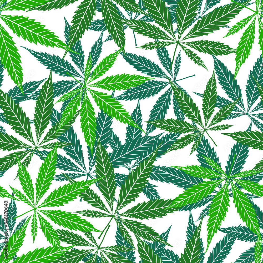 Cannabis vector seamless pattern of green leaf on white background. Cartoon hand drawing marijuana grass or ganja plant texture. Herbal floral nature top view design wallpaper, cover